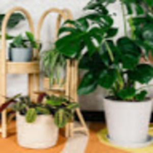 Meet your Posher, Emmi5030